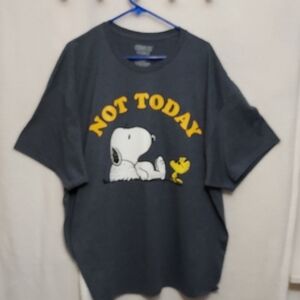 Graphic Tee Hybrid Apparel Peanuts